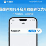 有道翻译小白怎么快速上手？