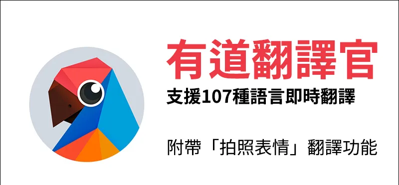 有道翻译在专业领域表现
