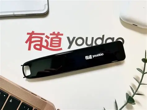 有道翻译设置与权限检查