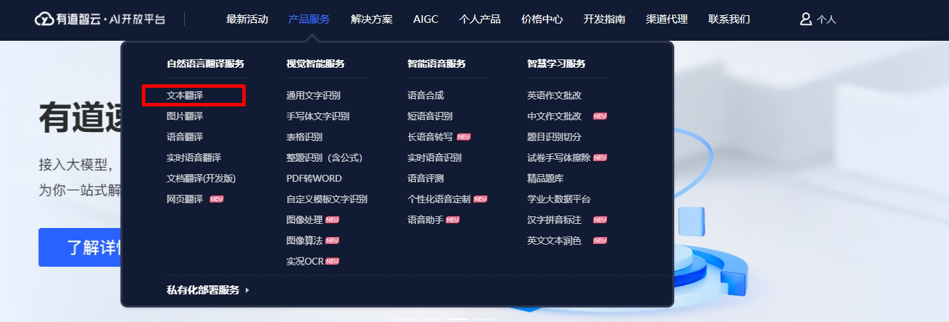 有道翻译毕业论文翻译怎么用?